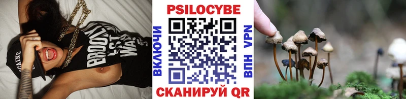 закладки  mega ССЫЛКА  Галлюциногенные грибы мухоморы  Вытегра 