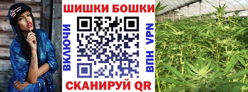 где найти   Вытегра  Марихуана сатива 